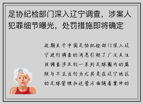 足协纪检部门深入辽宁调查，涉案人犯罪细节曝光，处罚措施即将确定